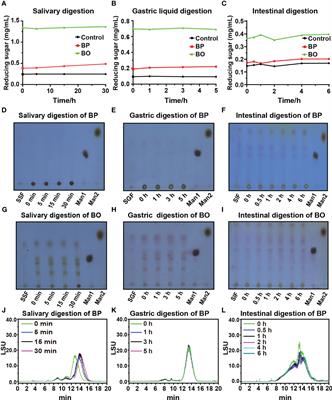 In vitro digestion and human gut microbiota fermentation of Bletilla striata polysaccharides and oligosaccharides